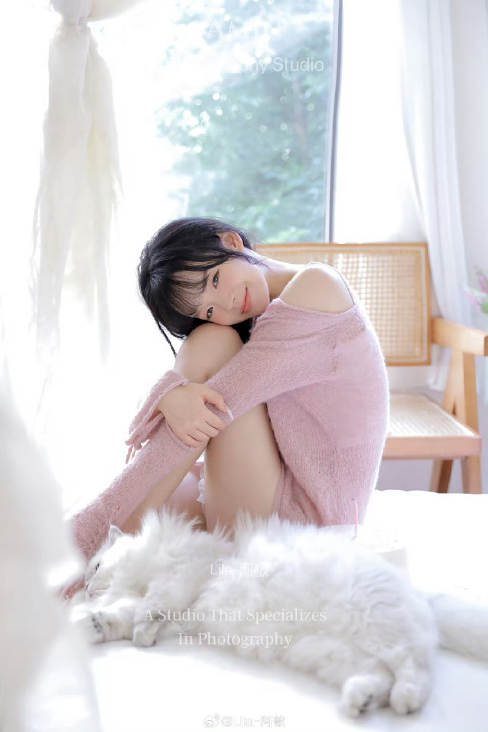 少数派报告